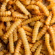 Illustration for article titled iParts Unknown /iproducers now filming French-fry documentaryem/em
